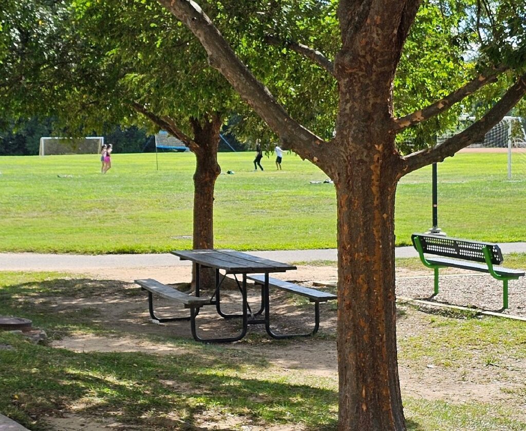 soccer